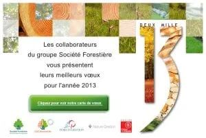 ecard_statique_voeux_2013_groupe_cdc