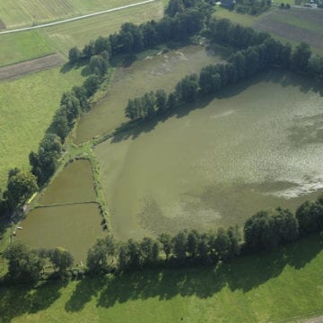 ecologie et environnement dans la publicite