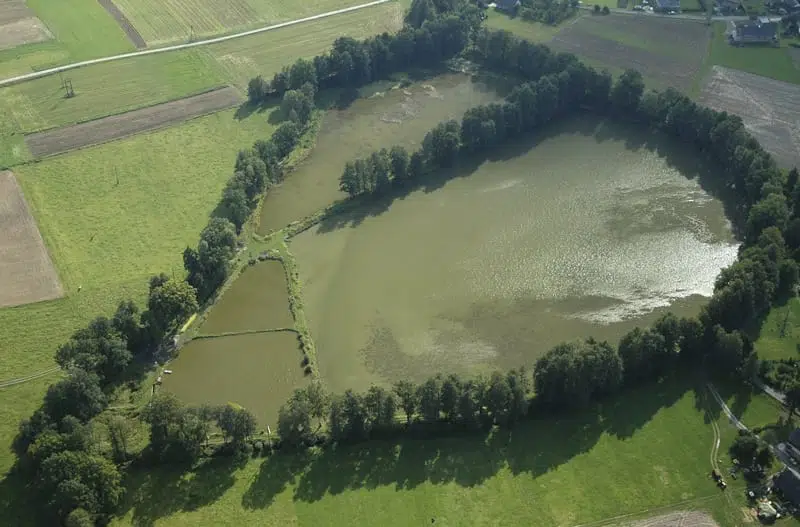 ecologie et environnement dans la publicite