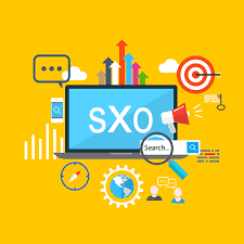 search experience optimization seo sxo